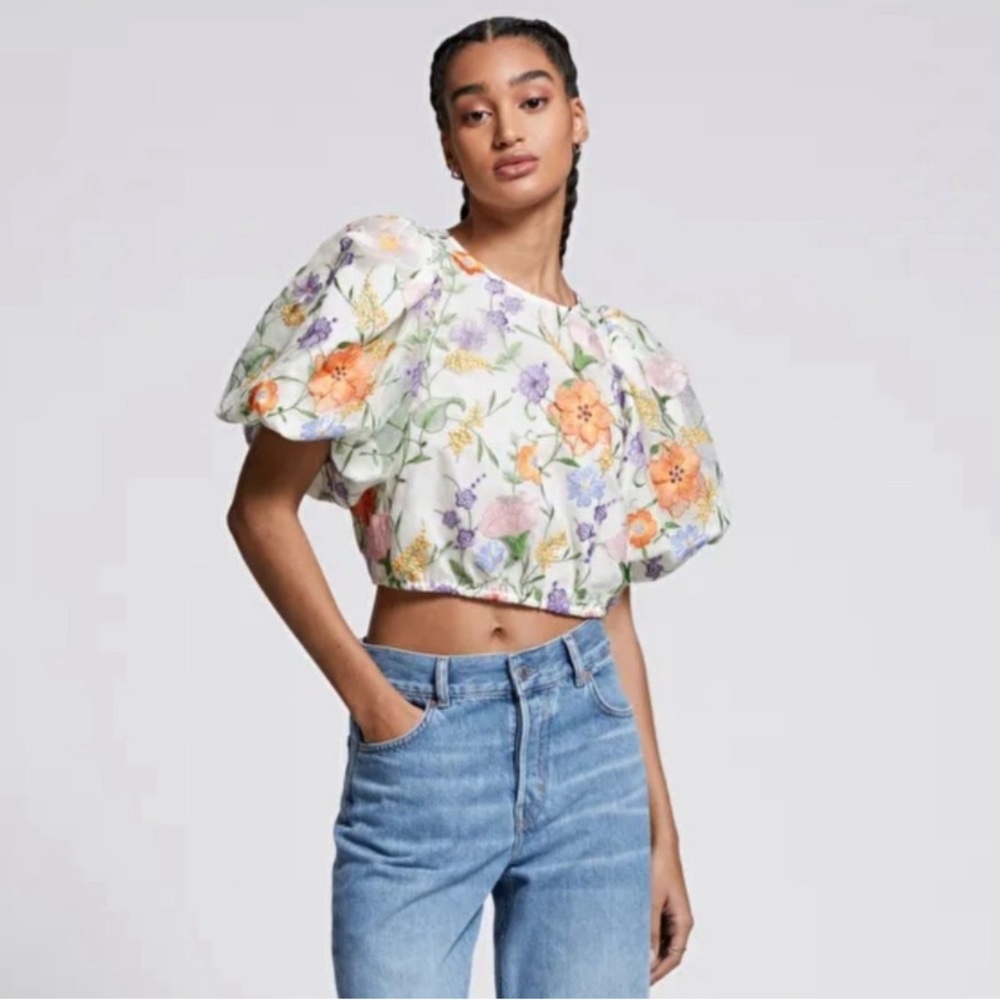 & Other Stories Puff Sleeve Embroidered Blouse